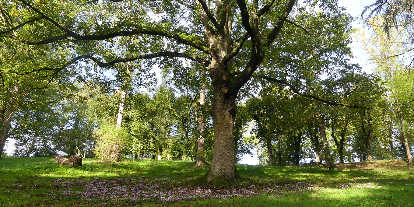 Indre-et-Loire sauvage : le programme 2026 pour explorer la nature ! (37)